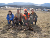 Pheasant Hunt