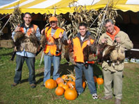 Fall Pheasants